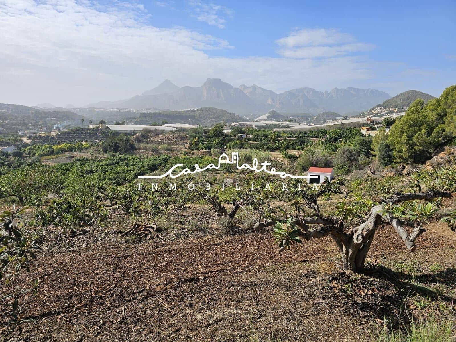 1 soveværelse Finca/Landehus til salg i Callosa d'En Sarria - € 157.000 (Ref: 8792646)