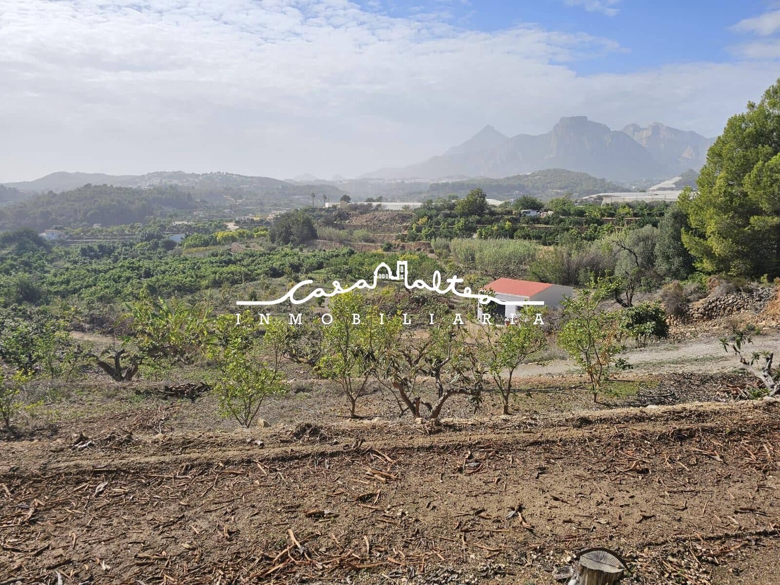 1 soveværelse Finca/Landehus til salg i Callosa d'En Sarria - € 157.000 (Ref: 8792646)