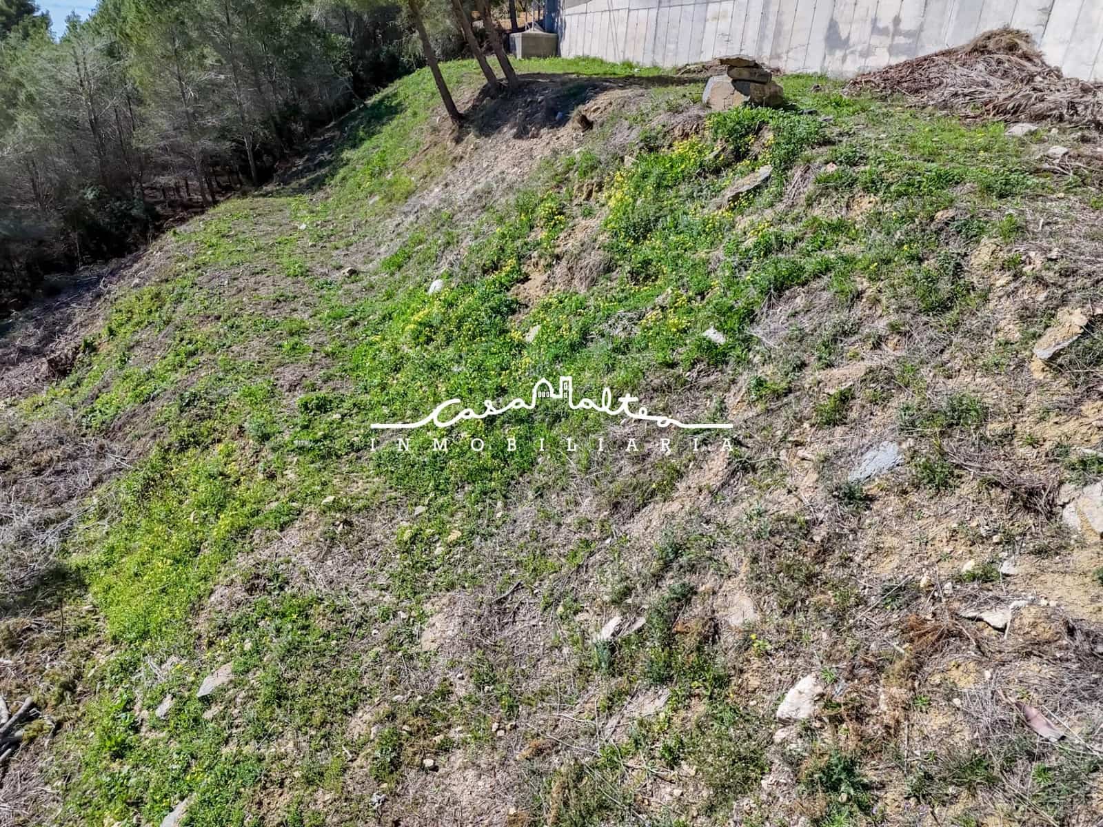 Tomt till salu i Callosa d'En Sarria - 320 000 € (Ref: 9032620)