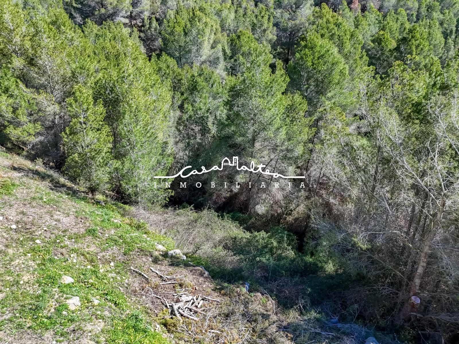 Byggegrund til salg i Callosa d'En Sarria - € 320.000 (Ref: 9032621)