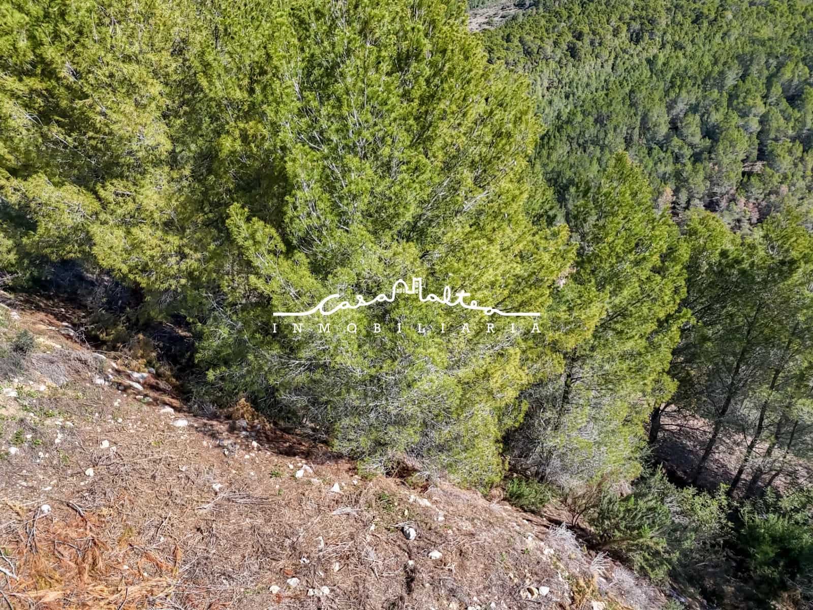 Byggegrund til salg i Callosa d'En Sarria - € 237.500 (Ref: 9032622)