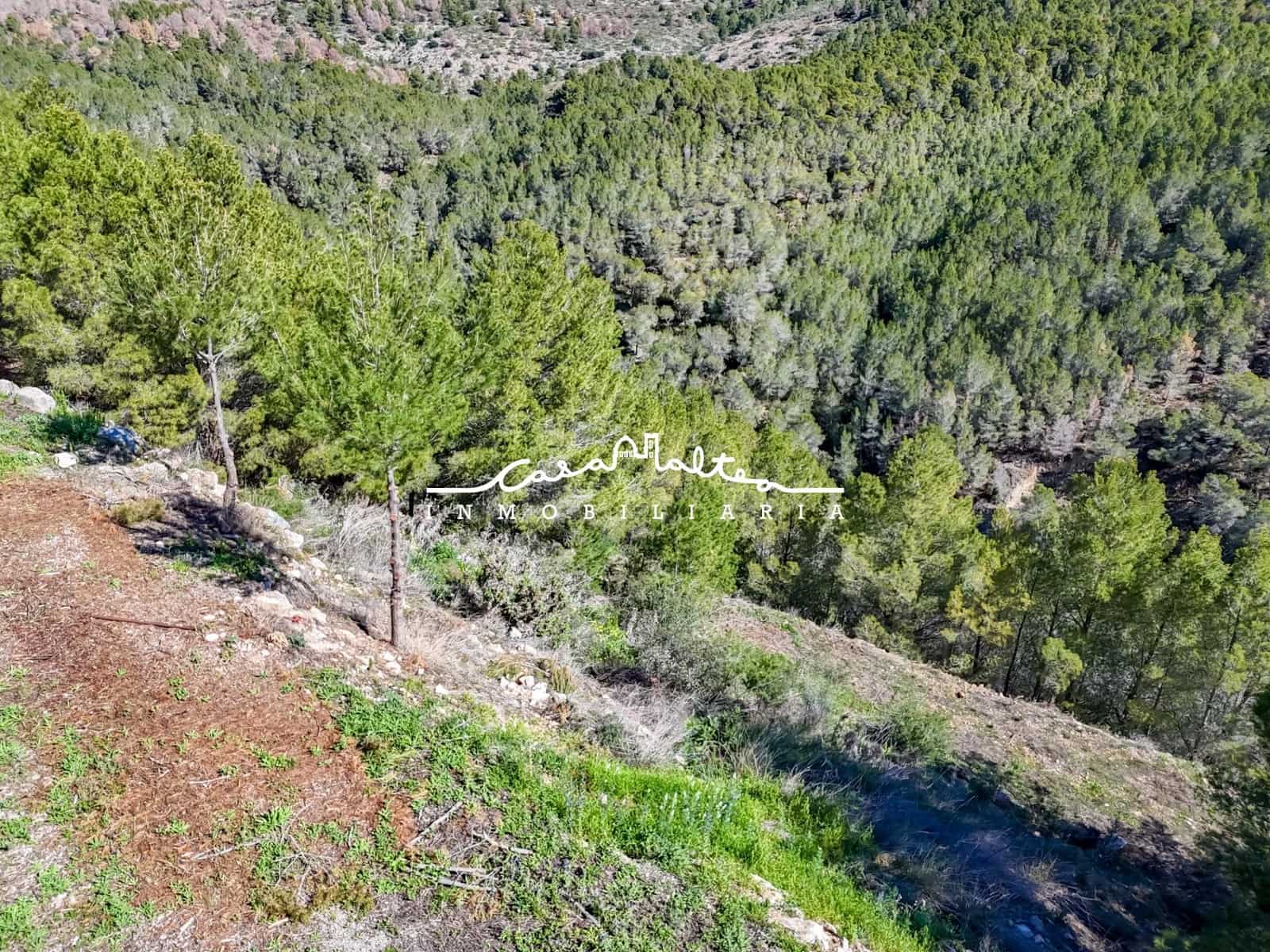 Building Plot for sale in Callosa d'En Sarria - € 237,500 (Ref: 9032623)