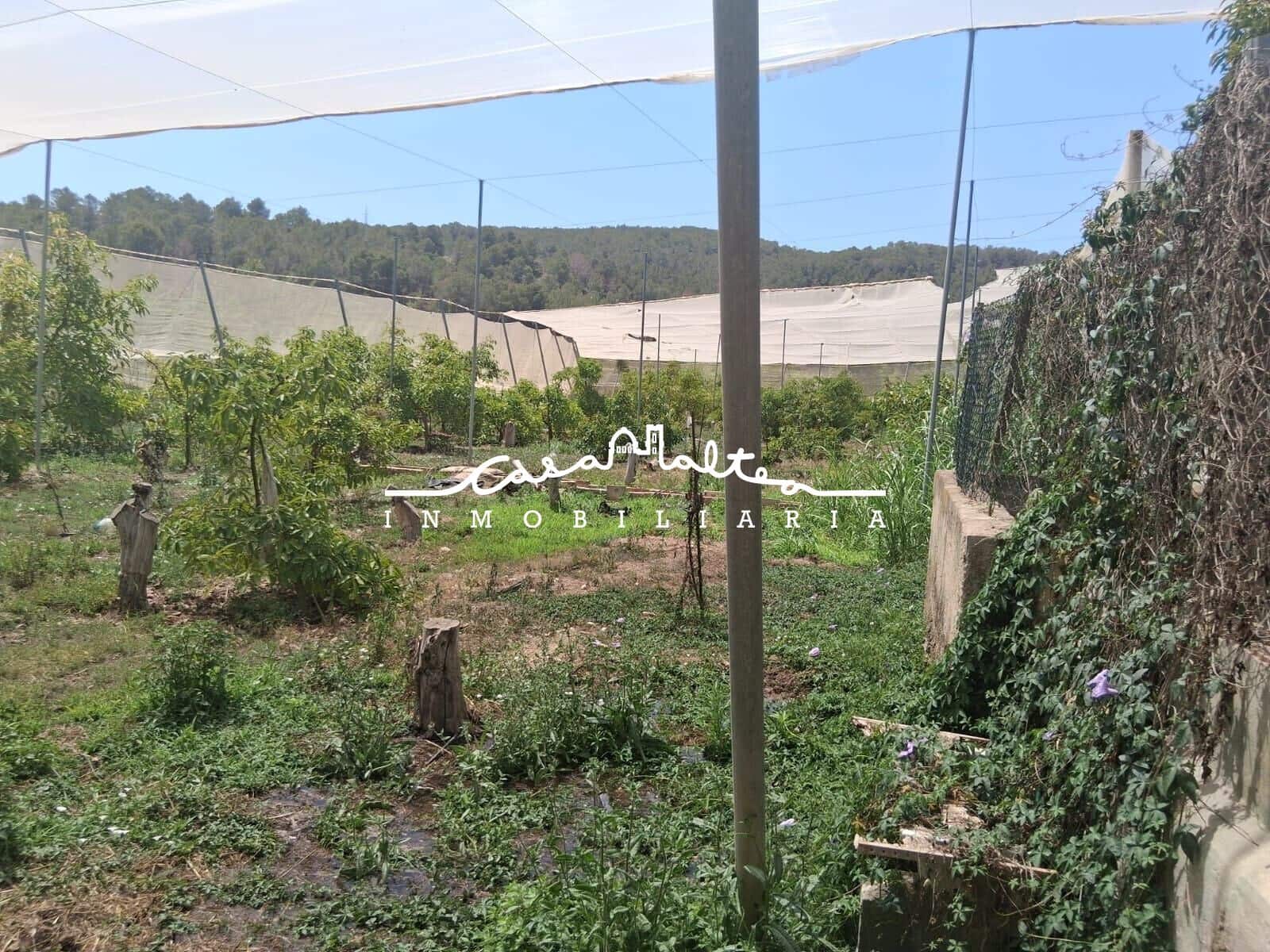 Mark till salu i Callosa d'En Sarria - 86 000 € (Ref: 9065351)