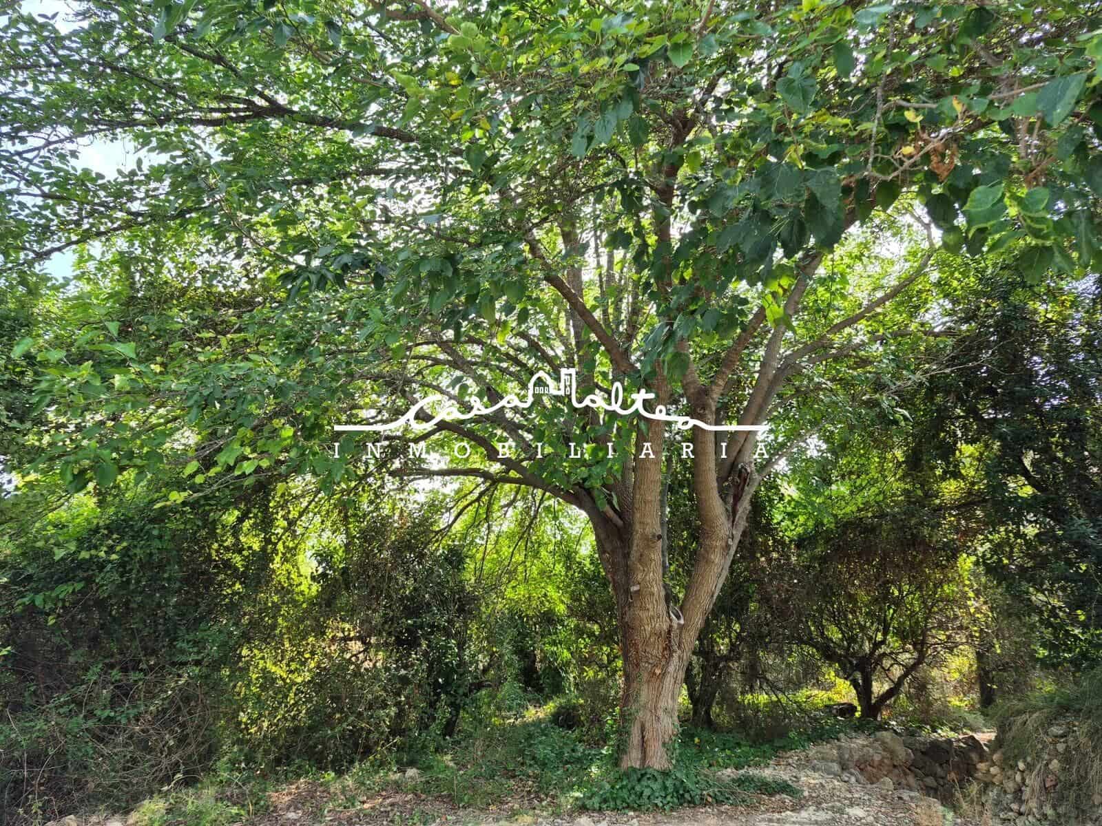 Grunde uden byggetilladelser til salg i La Nucia - € 68.000 (Ref: 9181150)