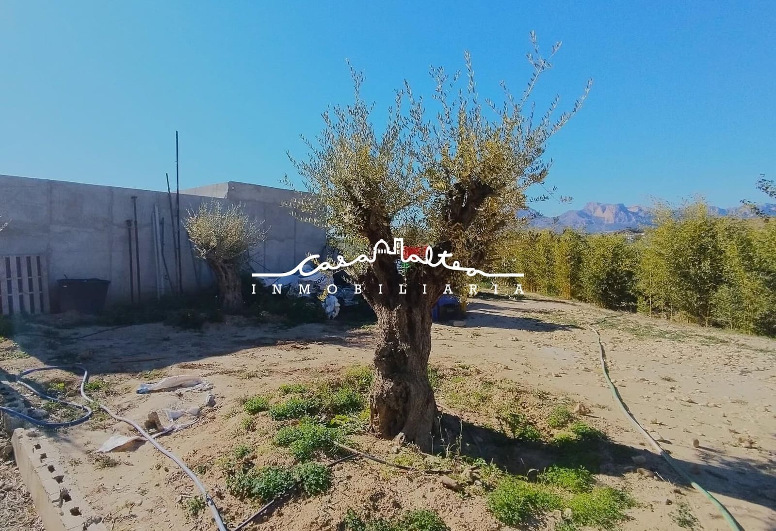 Undeveloped Land for sale in Altea - € 426,000 (Ref: 9427403)