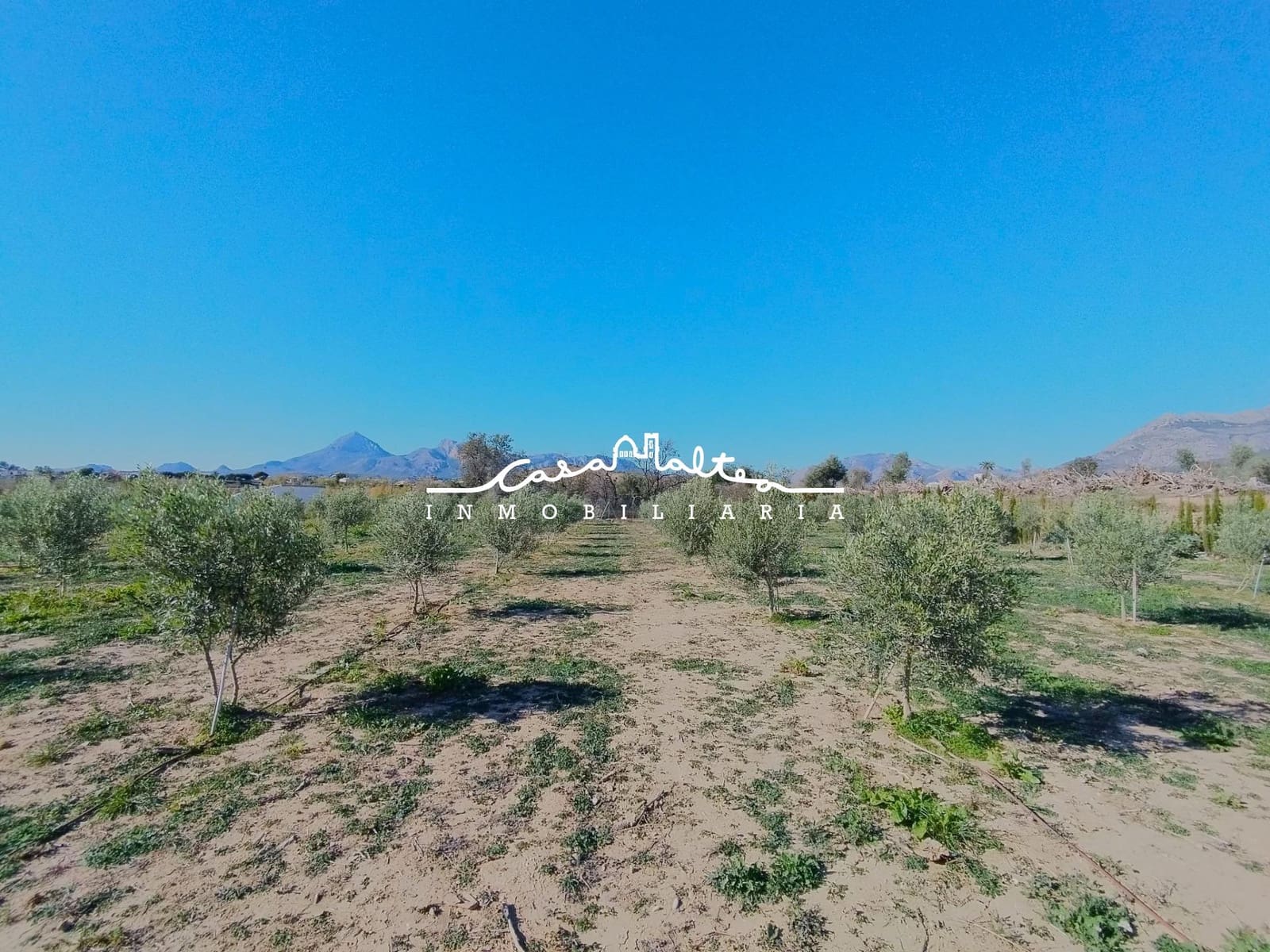 Undeveloped Land for sale in Altea - € 426,000 (Ref: 9427403)