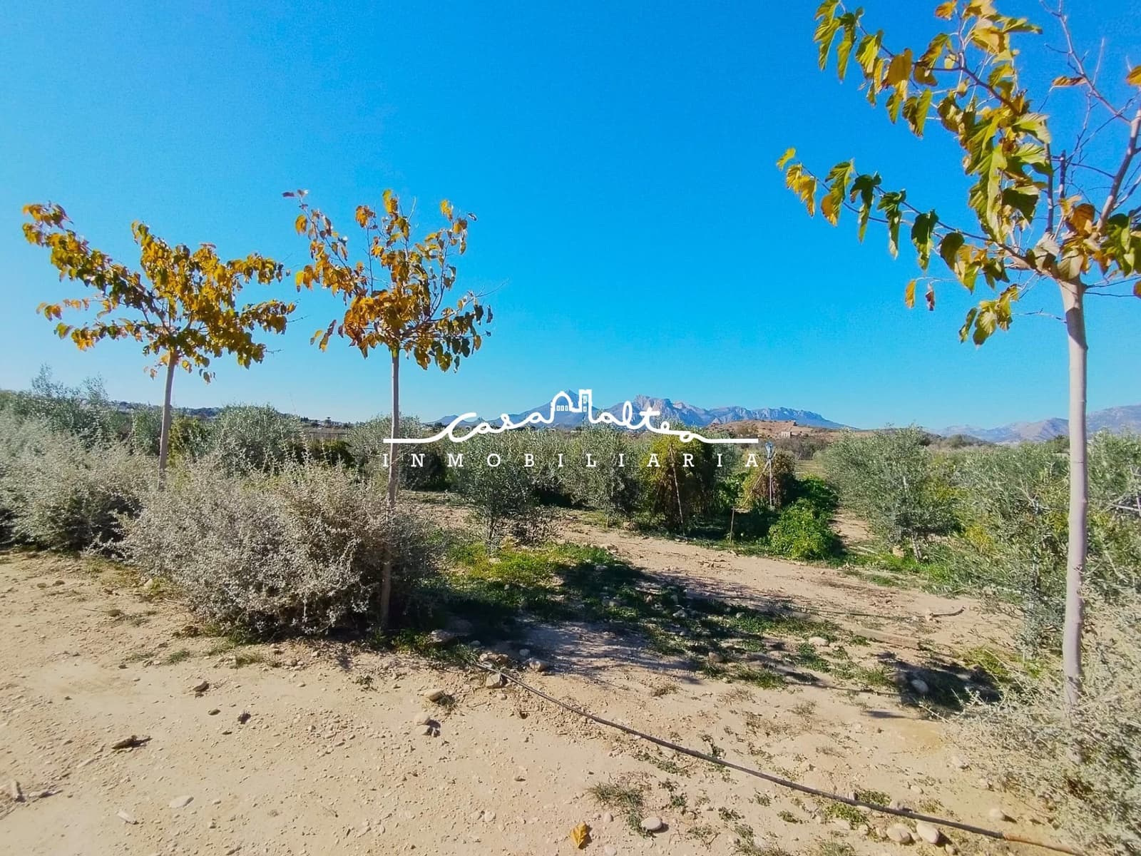 Undeveloped Land for sale in Altea - € 426,000 (Ref: 9427403)