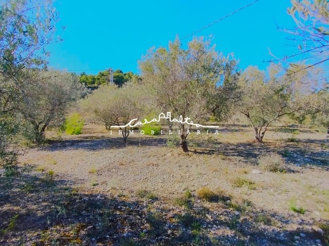 Undeveloped Land for sale in Benifato - € 150,000 (Ref: 9427404)