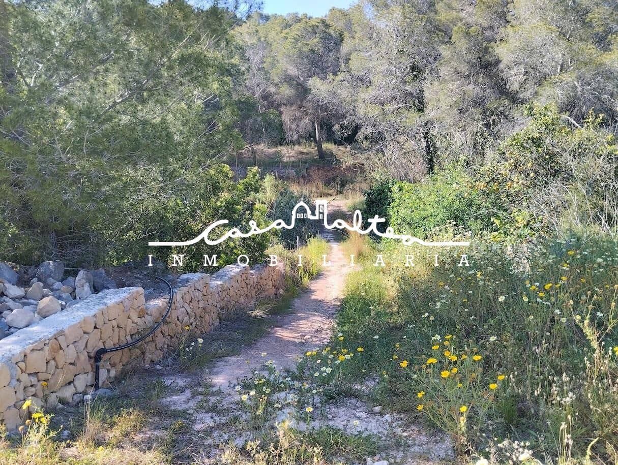 4 chambre Finca/Maison de Campagne à vendre à Altea la Vella avec piscine garage - 1 800 000 € (Ref: 9519135)