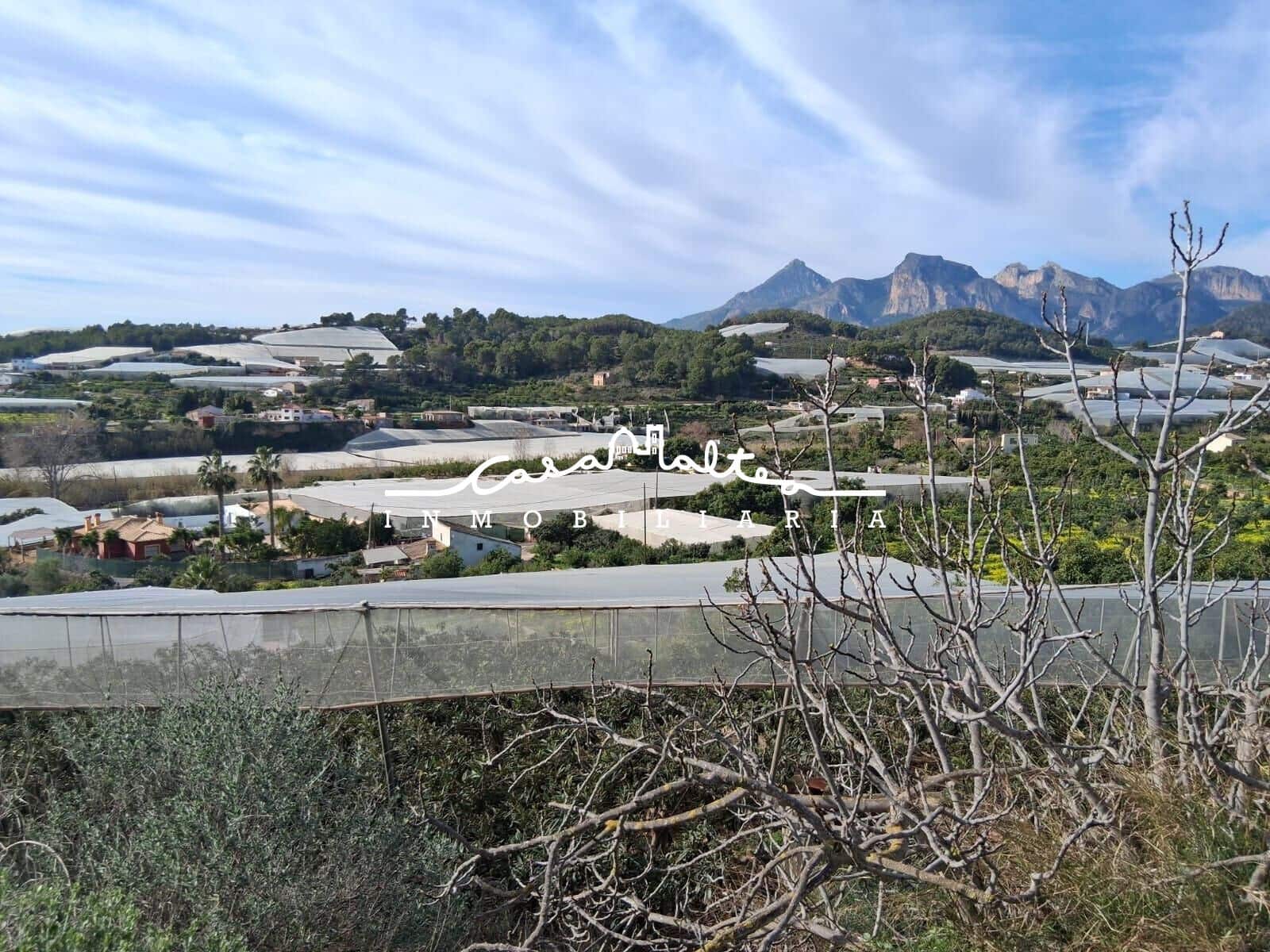 Grond te koop in Callosa d'En Sarria - € 250.000 (Ref: 9562043)