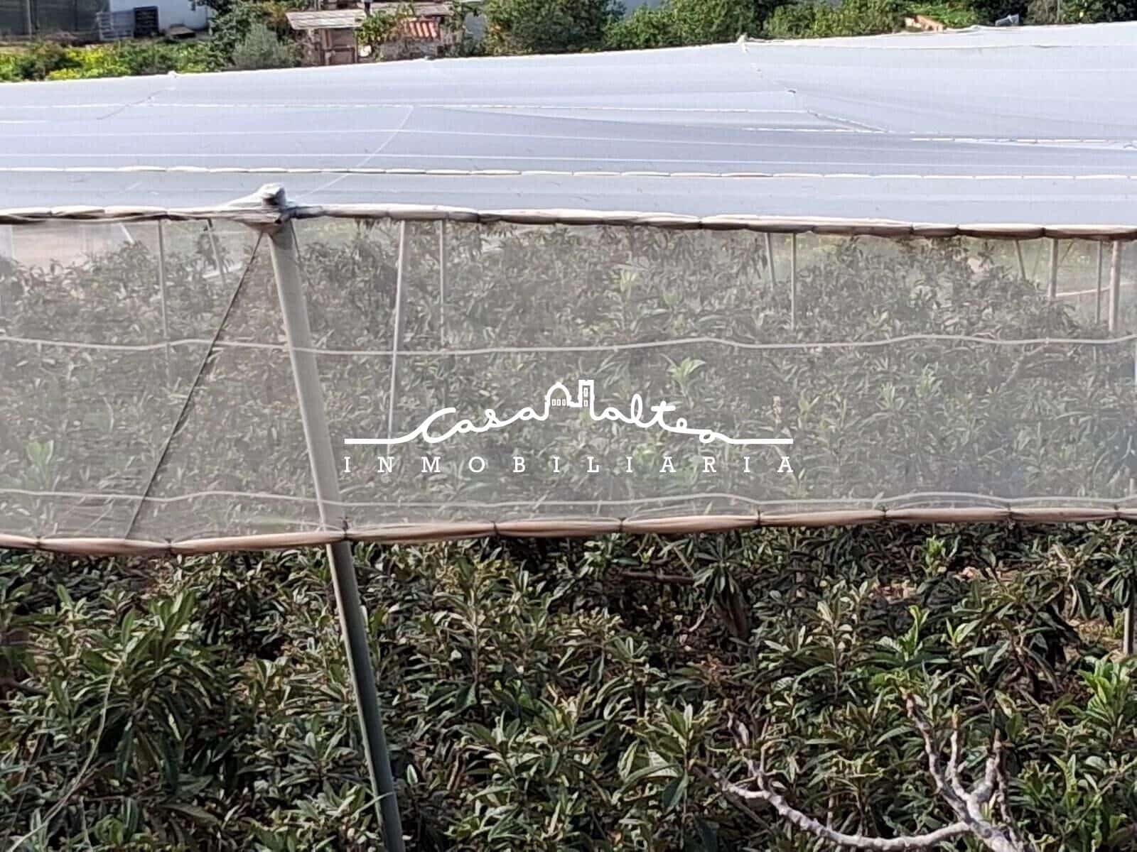 Grond te koop in Callosa d'En Sarria - € 250.000 (Ref: 9562043)