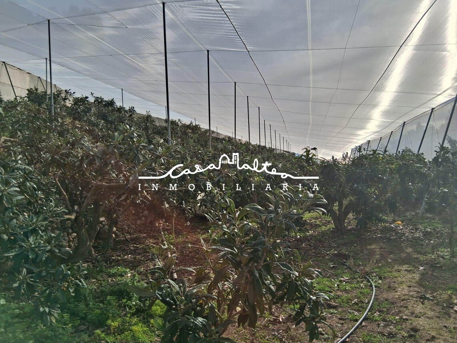 Grond te koop in Callosa d'En Sarria - € 250.000 (Ref: 9562043)