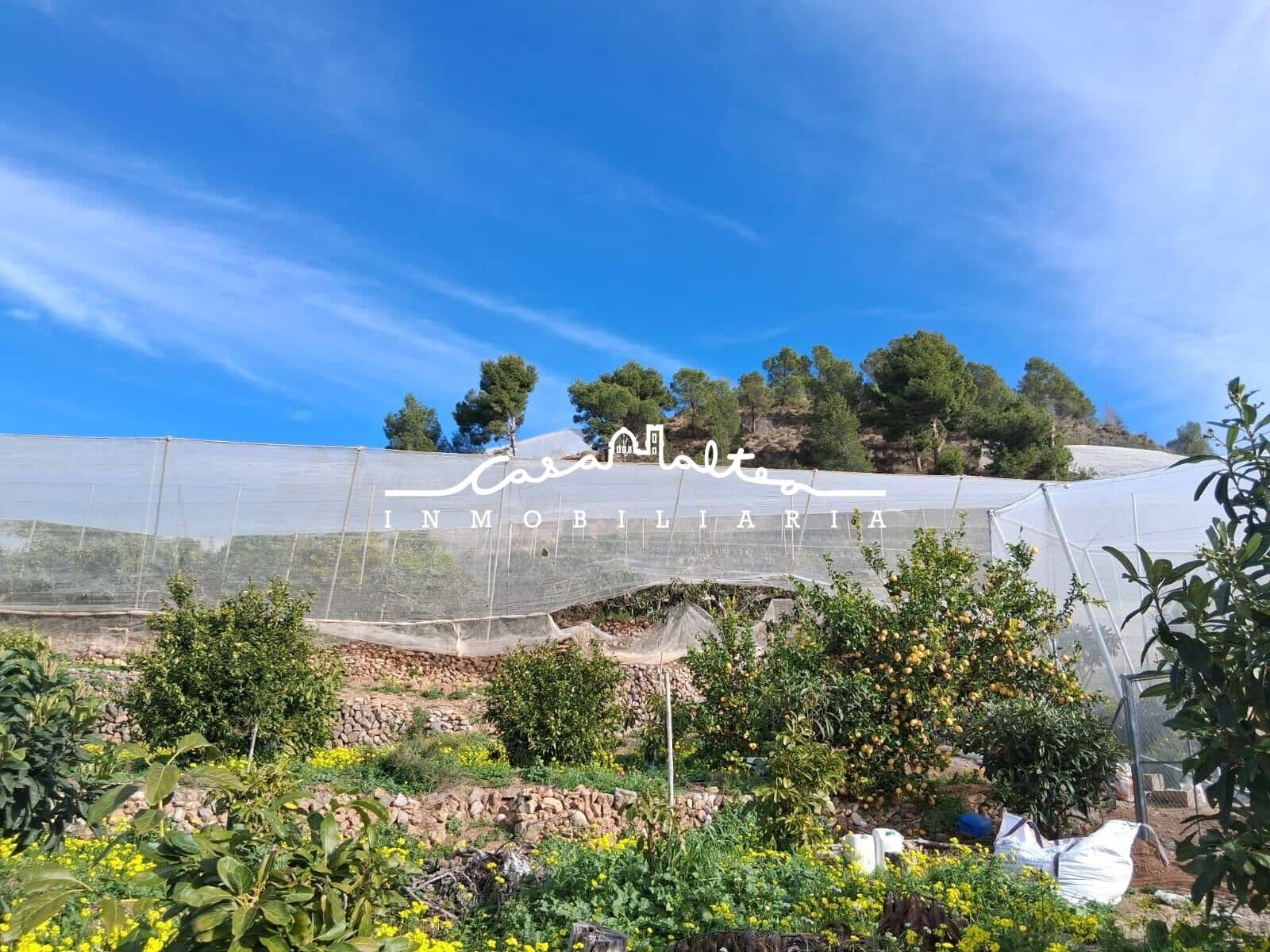 Grond te koop in Callosa d'En Sarria - € 250.000 (Ref: 9562043)