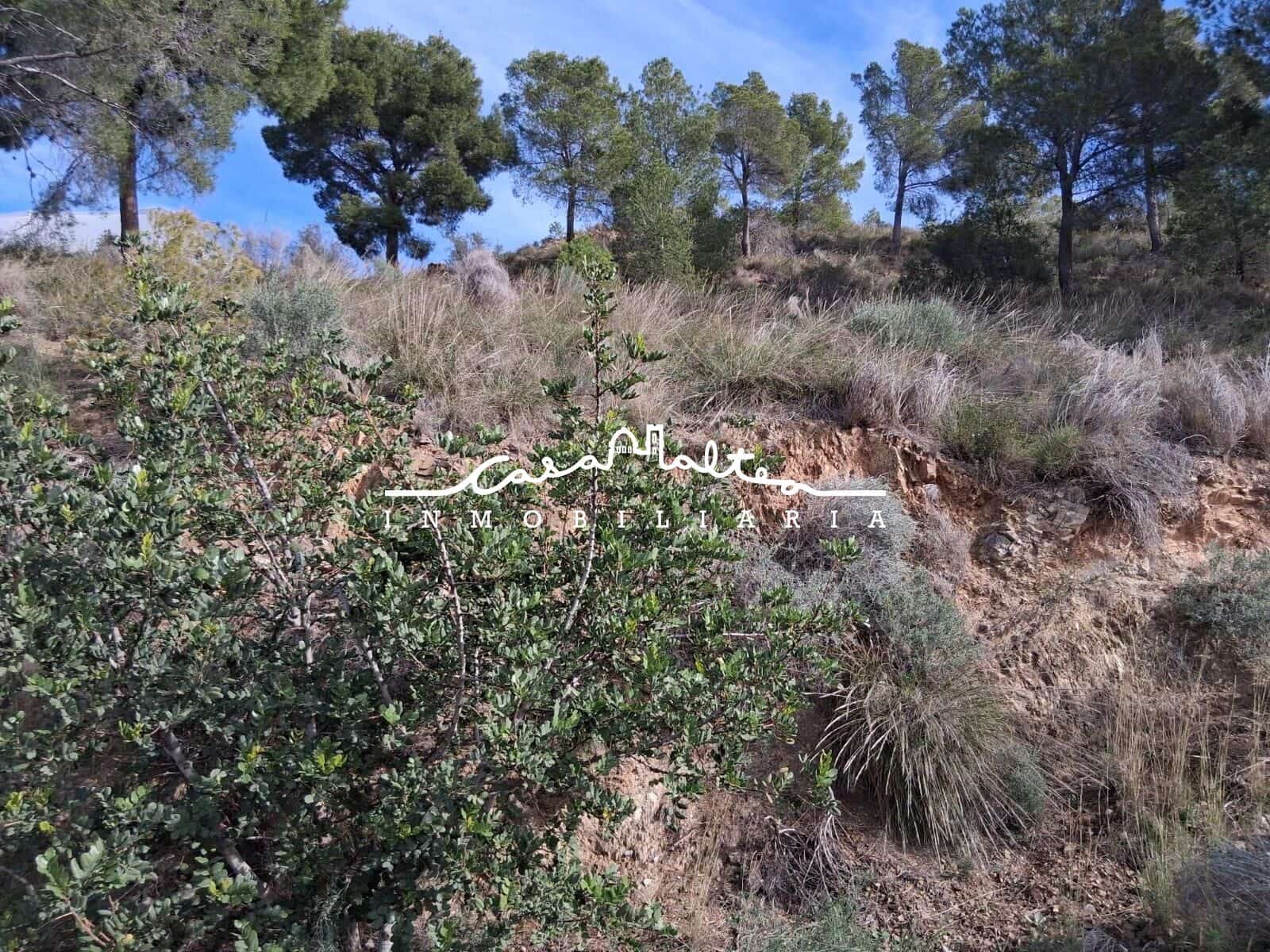 Grond te koop in Callosa d'En Sarria - € 250.000 (Ref: 9562043)