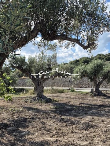 Terreno/Finca Rústica en Altea en venta - 65.000 € (Ref: 9849556)