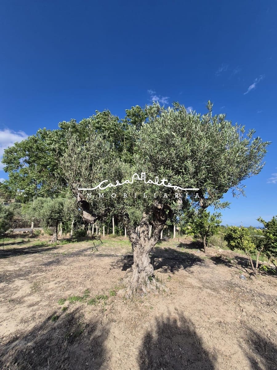 Terreno/Finca Rústica en Altea en venta - 65.000 € (Ref: 9849556)