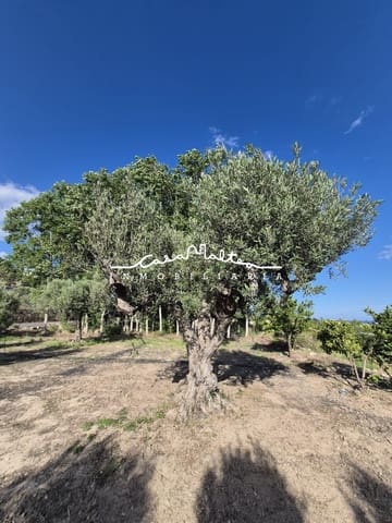Terreno/Finca Rústica en Altea en venta - 65.000 € (Ref: 9849556)