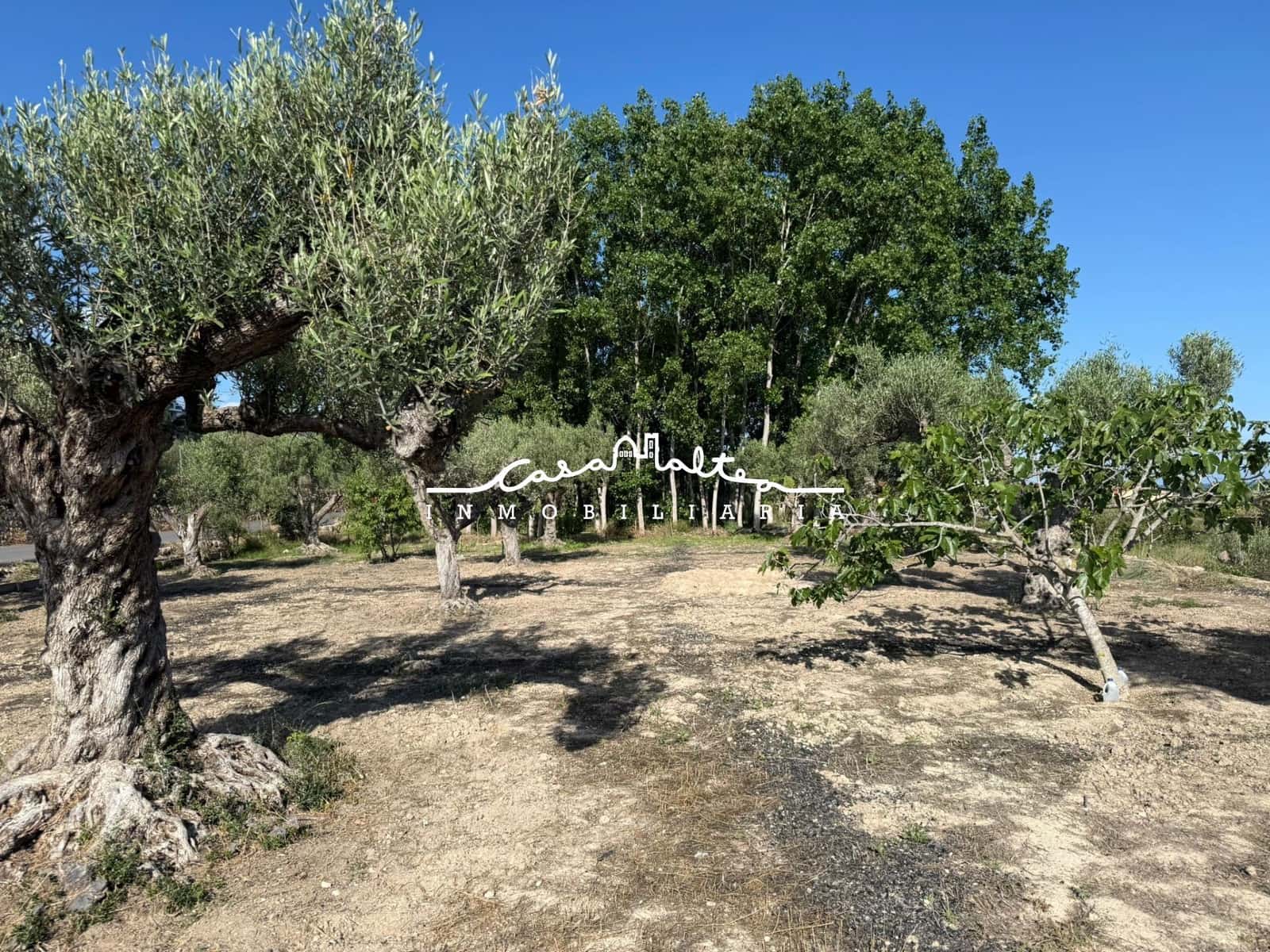 Terreno/Finca Rústica en Altea en venta - 65.000 € (Ref: 9849556)