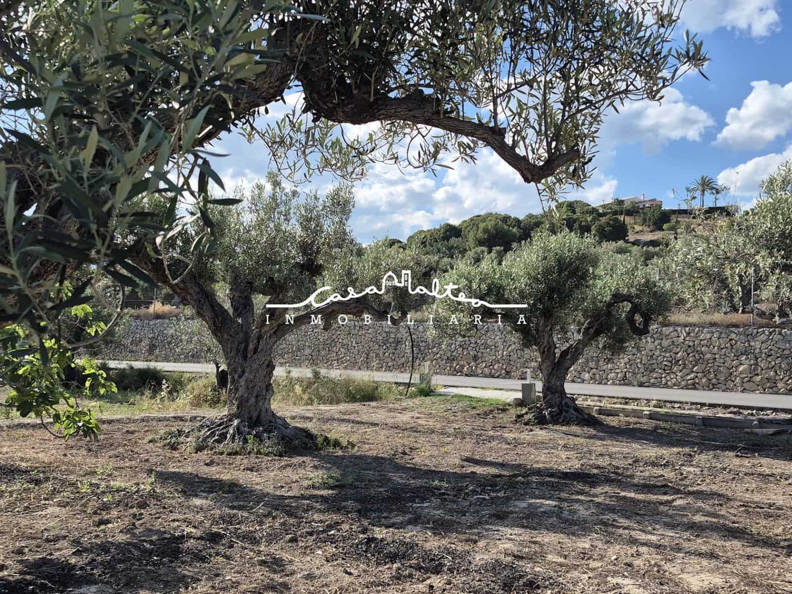 Terreno/Finca Rústica en Altea en venta - 65.000 € (Ref: 9849556)
