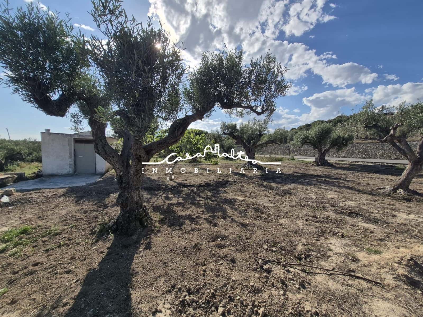Terreno/Finca Rústica en Altea en venta - 65.000 € (Ref: 9849556)