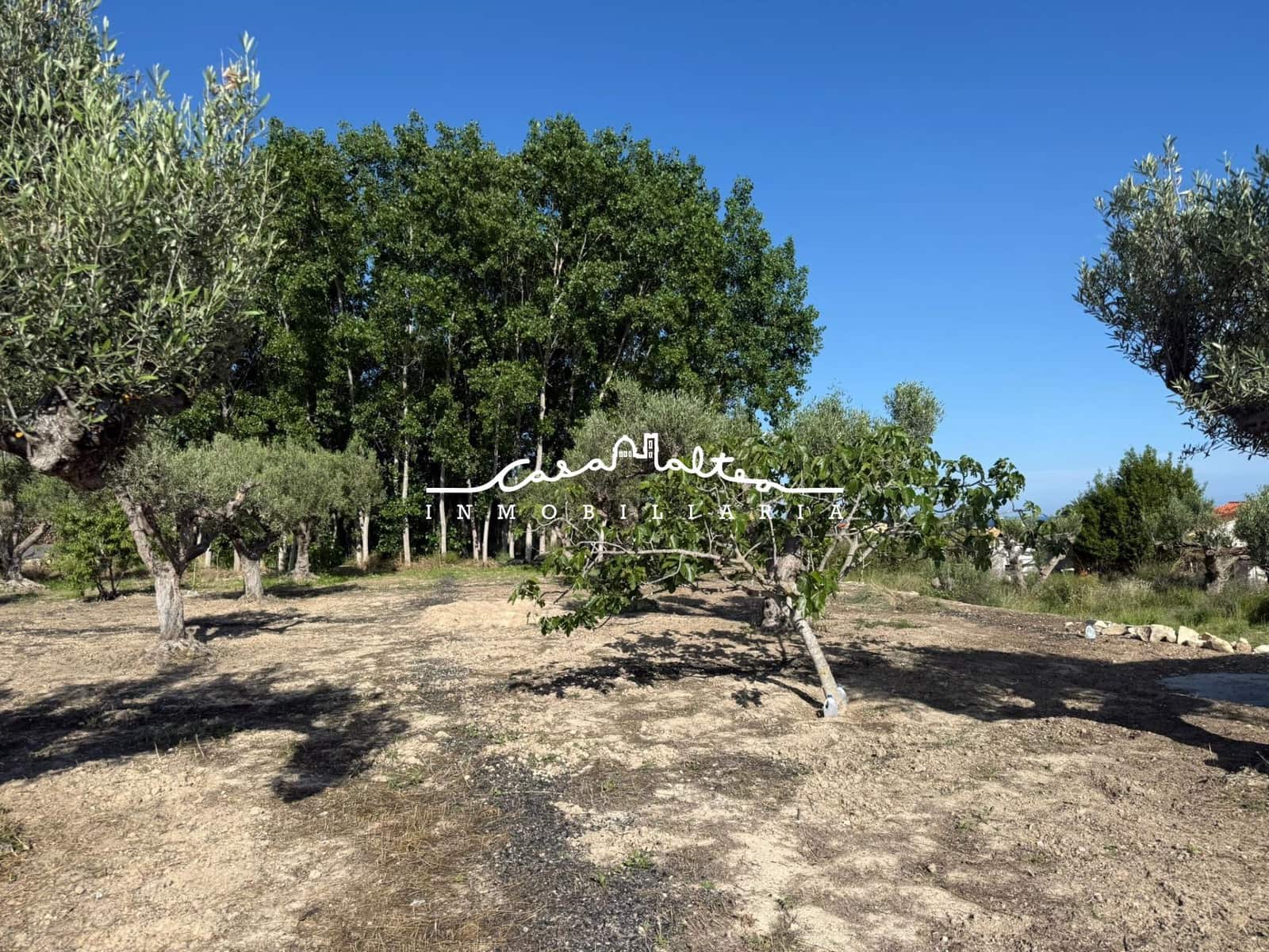 Terreno/Finca Rústica en Altea en venta - 65.000 € (Ref: 9849556)