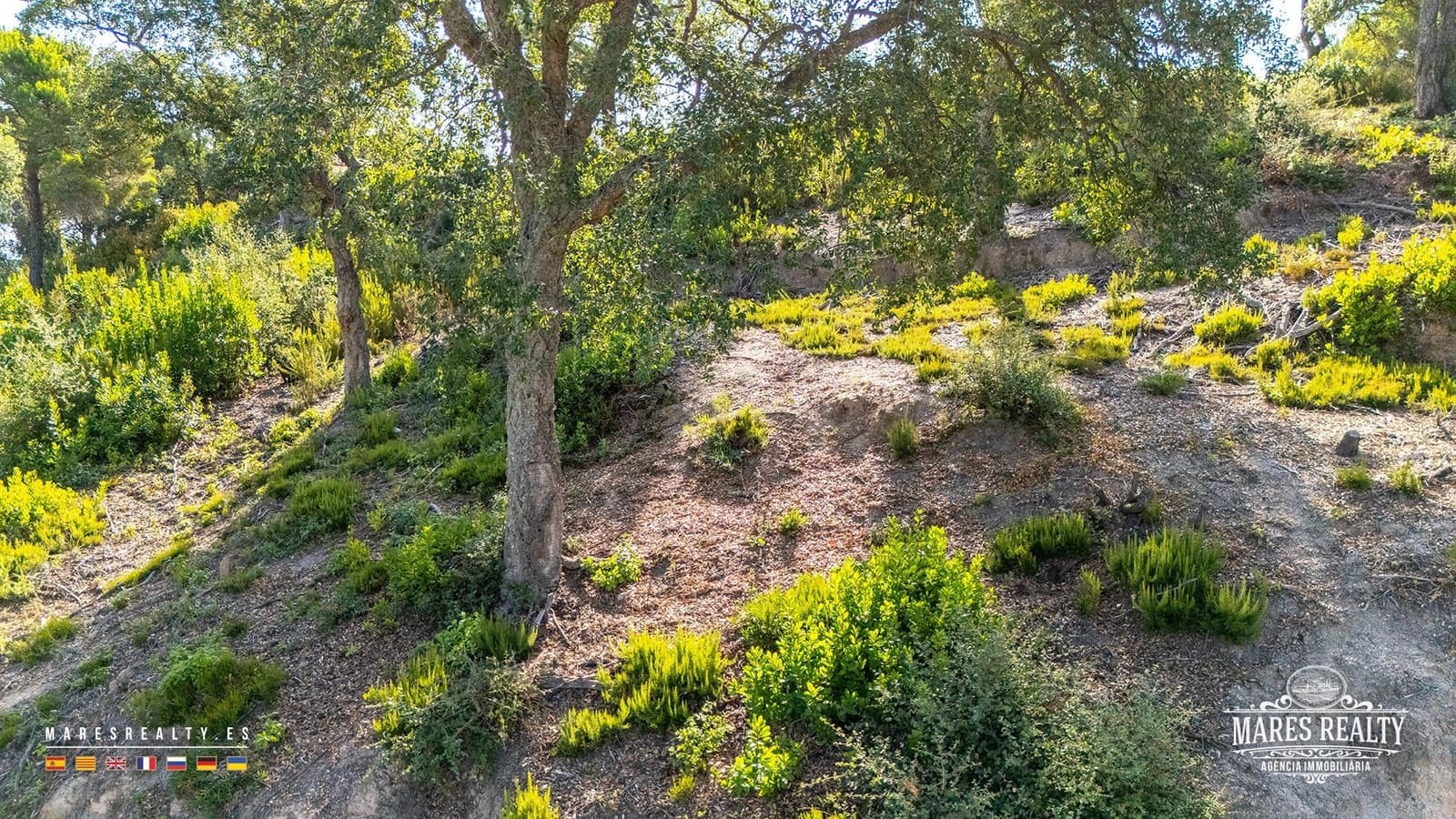 Landgrundstück zu verkaufen in Lloret de Mar - 26.000 € (Ref: 10017021)