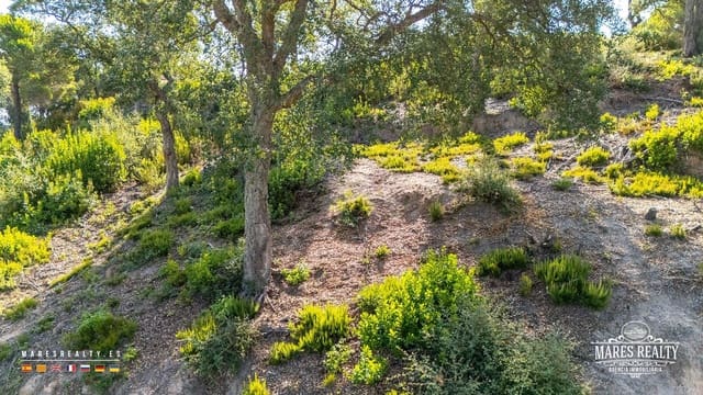 Landgrundstück zu verkaufen in Lloret de Mar - 26.000 € (Ref: 10017021)