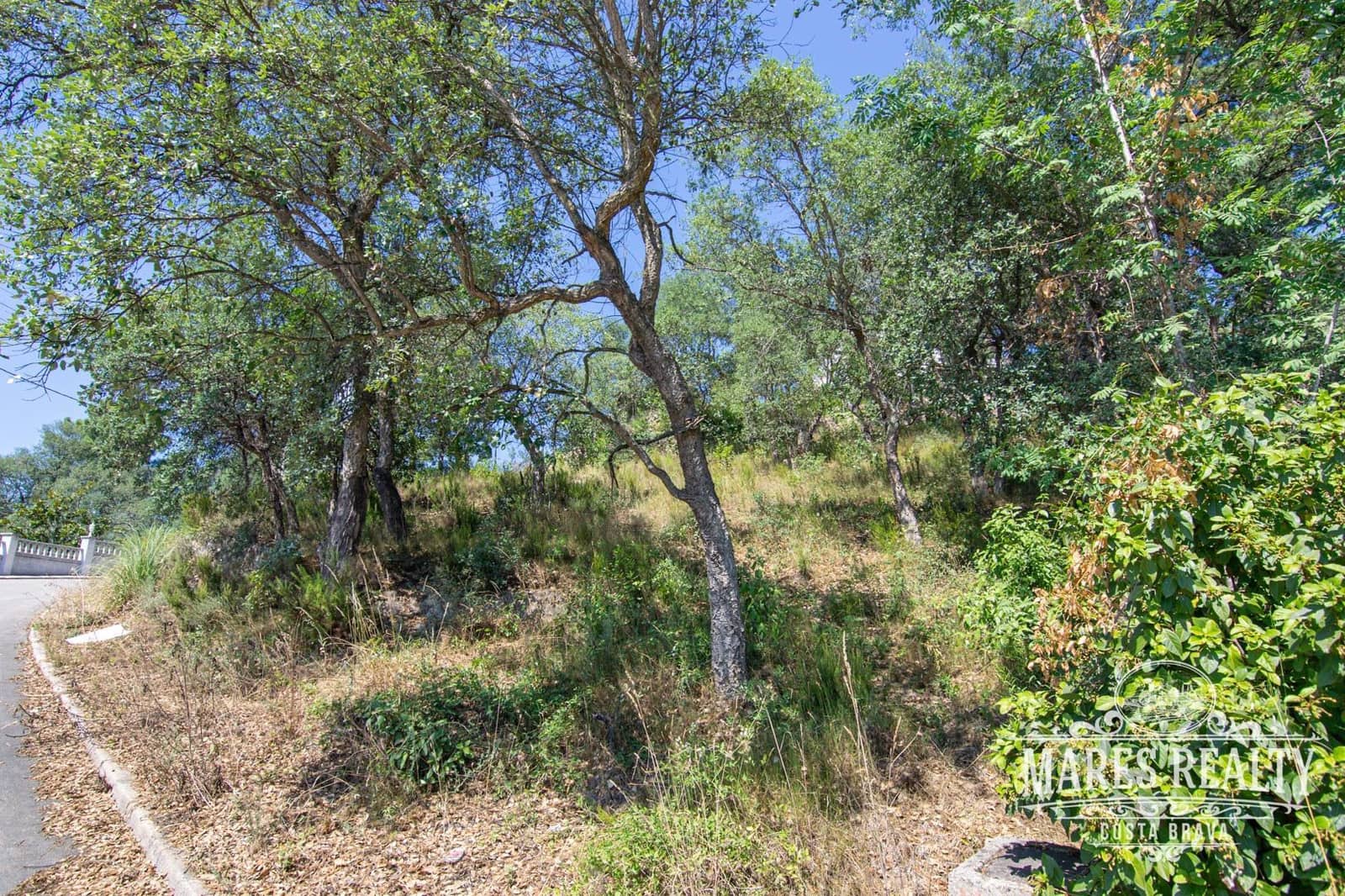 Undeveloped Land for sale in Vidreres - € 55,000 (Ref: 7335310)