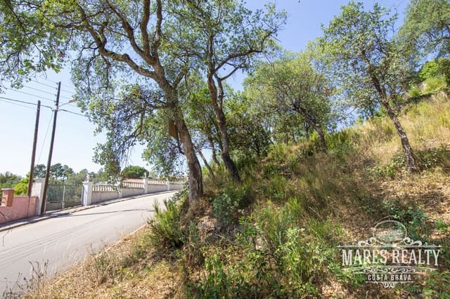 Teren niezagospodarowany na sprzedaż w Vidreres - 55 000 € (Ref: 7335310)