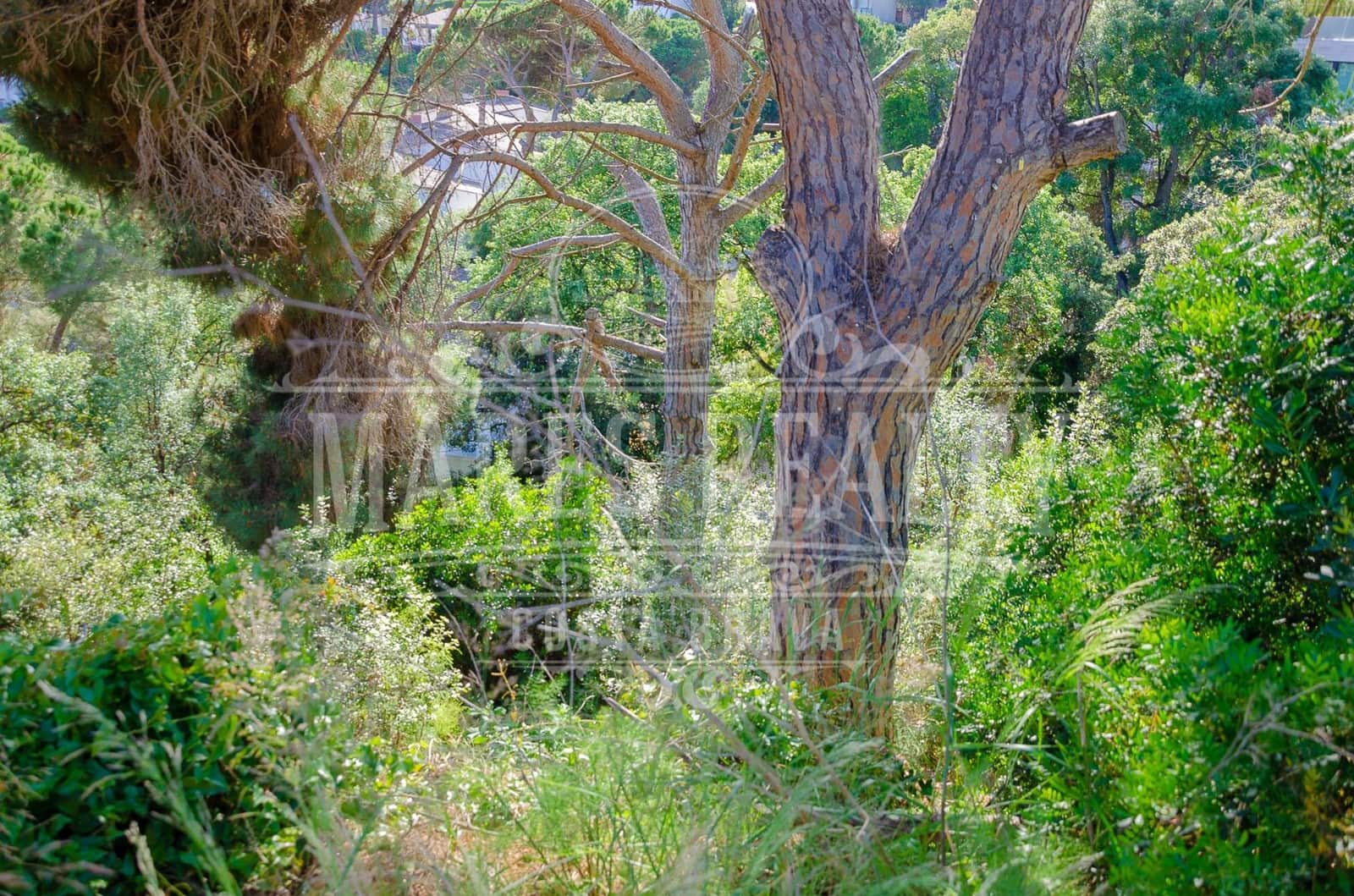 Grunde uden byggetilladelser til salg i Tossa de Mar - € 295.000 (Ref: 7431644)