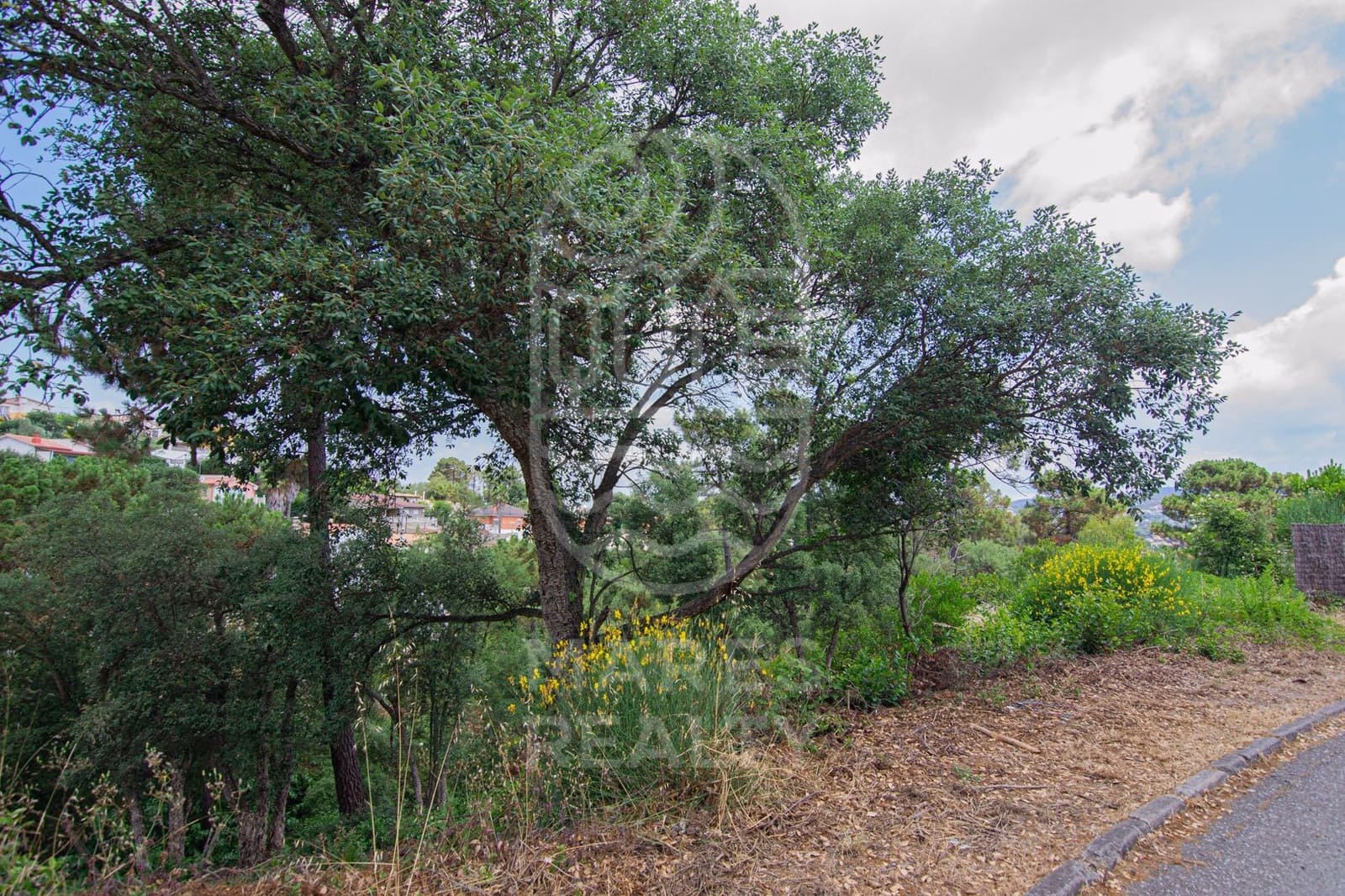 Grunde uden byggetilladelser til salg i Lloret de Mar - € 40.000 (Ref: 7431648)