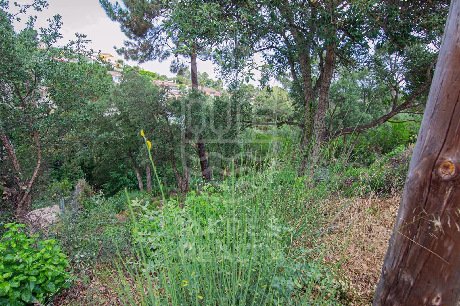 Grunde uden byggetilladelser til salg i Lloret de Mar - € 40.000 (Ref: 7431648)