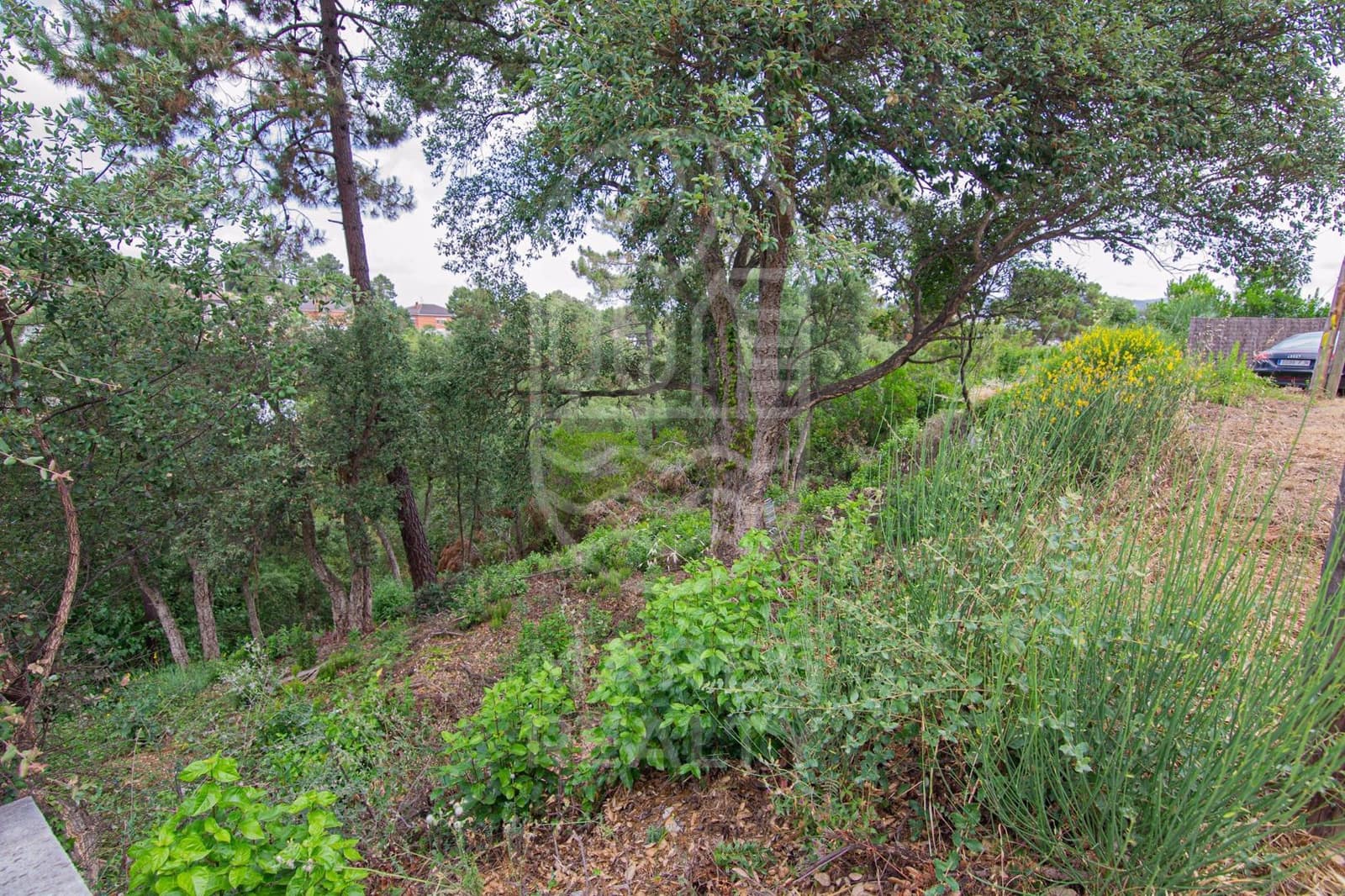 Grunde uden byggetilladelser til salg i Lloret de Mar - € 40.000 (Ref: 7431648)