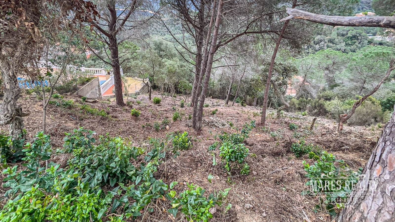 Terreno Não Urbanizado para venda em Lloret de Mar - 105 450 € (Ref: 7435362)