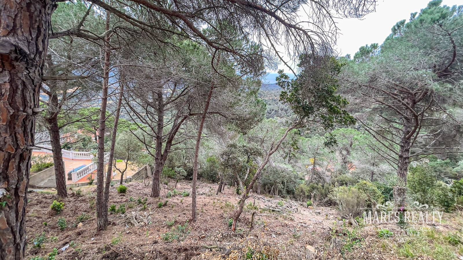 Terreno Não Urbanizado para venda em Lloret de Mar - 105 450 € (Ref: 7435362)