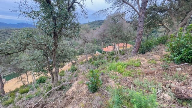 Mark till salu i Serra Brava, Lloret de Mar - 61 750 € (Ref: 7435365)