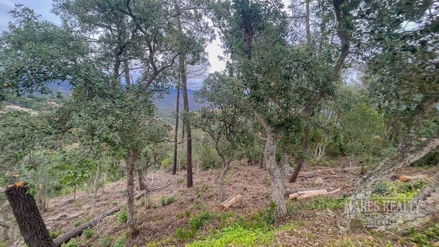 Mark till salu i Serra Brava, Lloret de Mar - 88 350 € (Ref: 7435366)