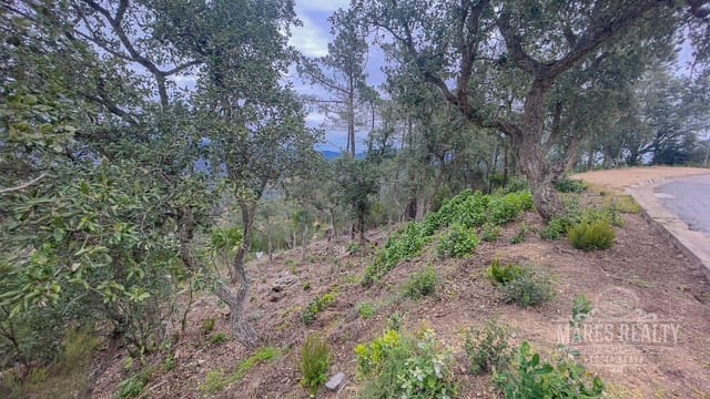 Mark till salu i Serra Brava, Lloret de Mar - 88 350 € (Ref: 7435366)