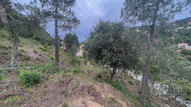 Terreno Não Urbanizado para venda em Serra Brava, Lloret de Mar - 106 400 € (Ref: 7435367)