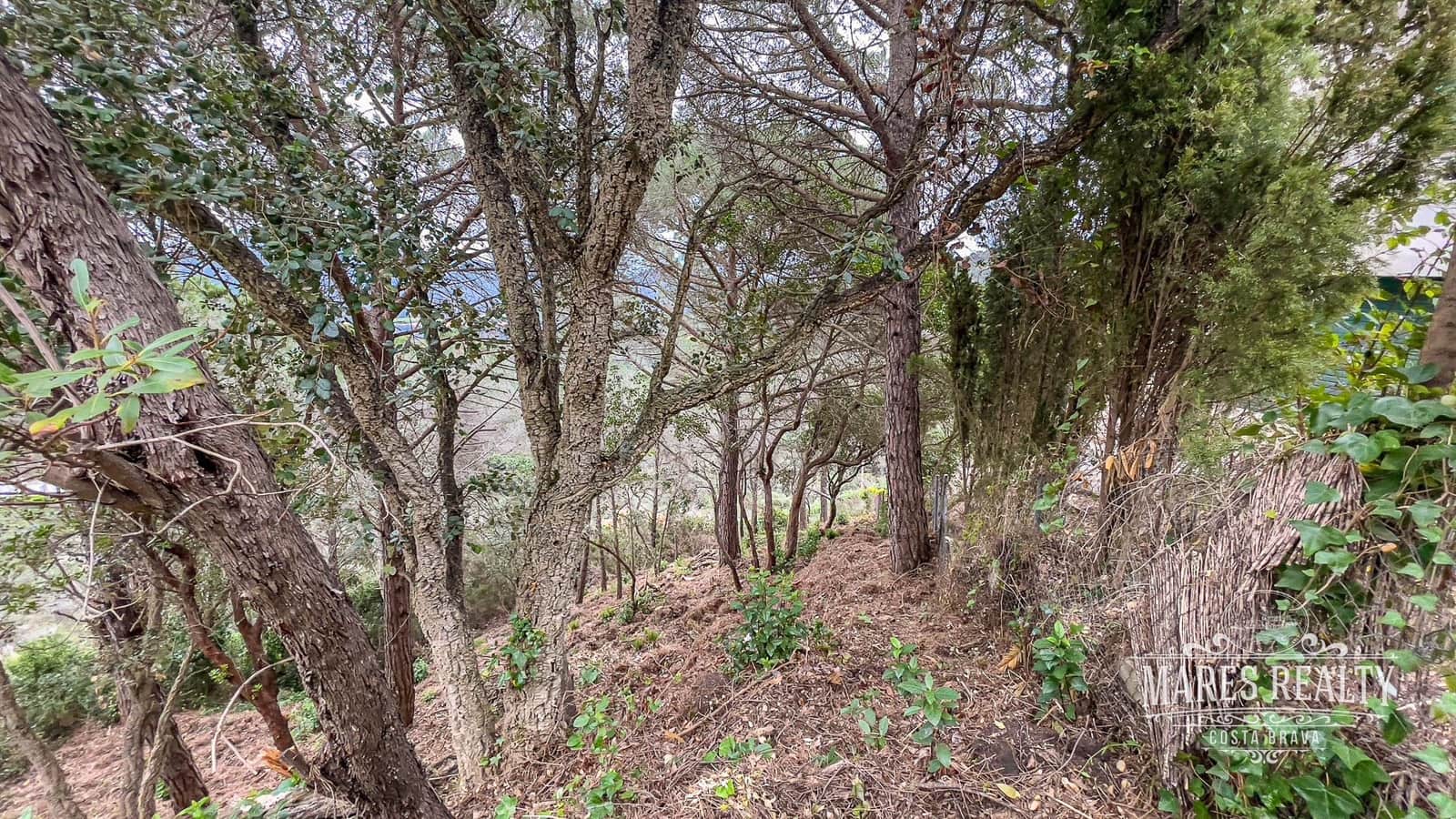 Grunde uden byggetilladelser til salg i Lloret de Mar - € 71.250 (Ref: 7435368)