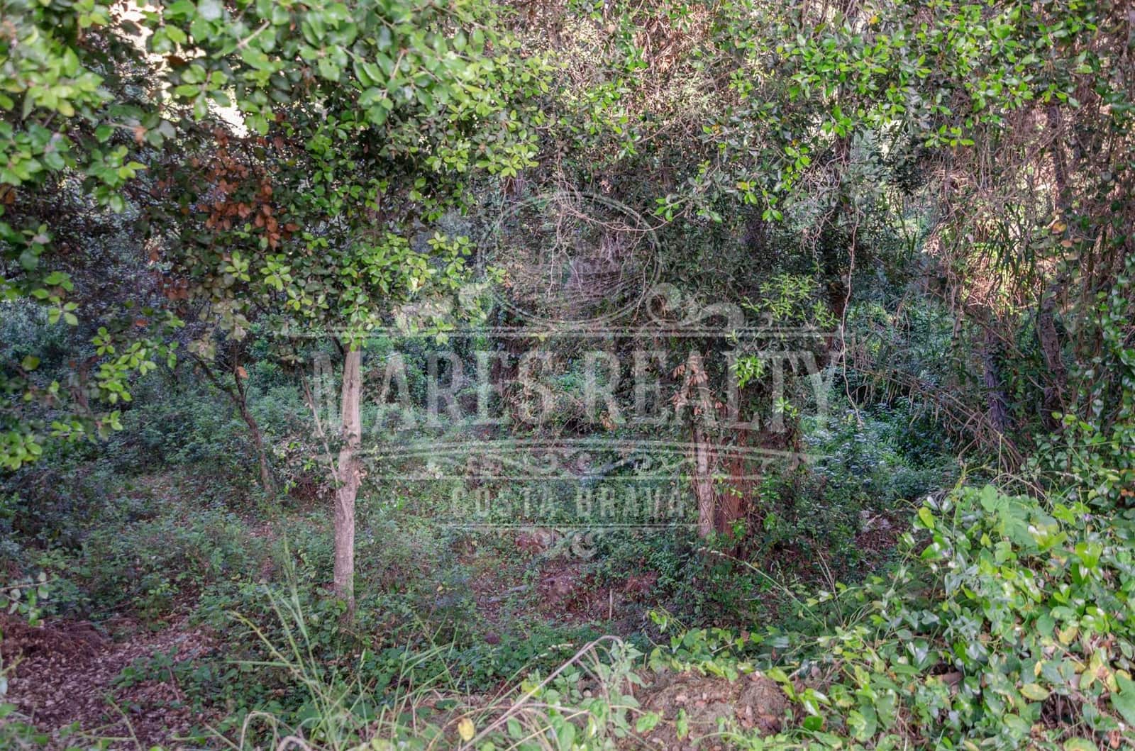 Grunde uden byggetilladelser til salg i Tossa de Mar - € 228.000 (Ref: 7446256)