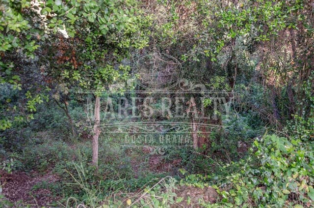 Undeveloped Land for sale in Tossa de Mar - € 228,000 (Ref: 7446256)