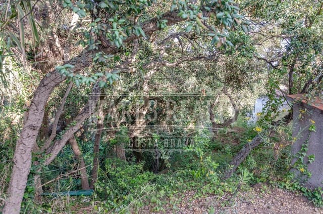 Undeveloped Land for sale in Tossa de Mar - € 228,000 (Ref: 7446256)