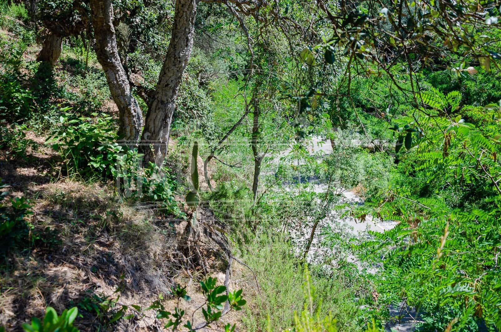 Grond te koop in Lloret de Mar - € 106.000 (Ref: 7458212)