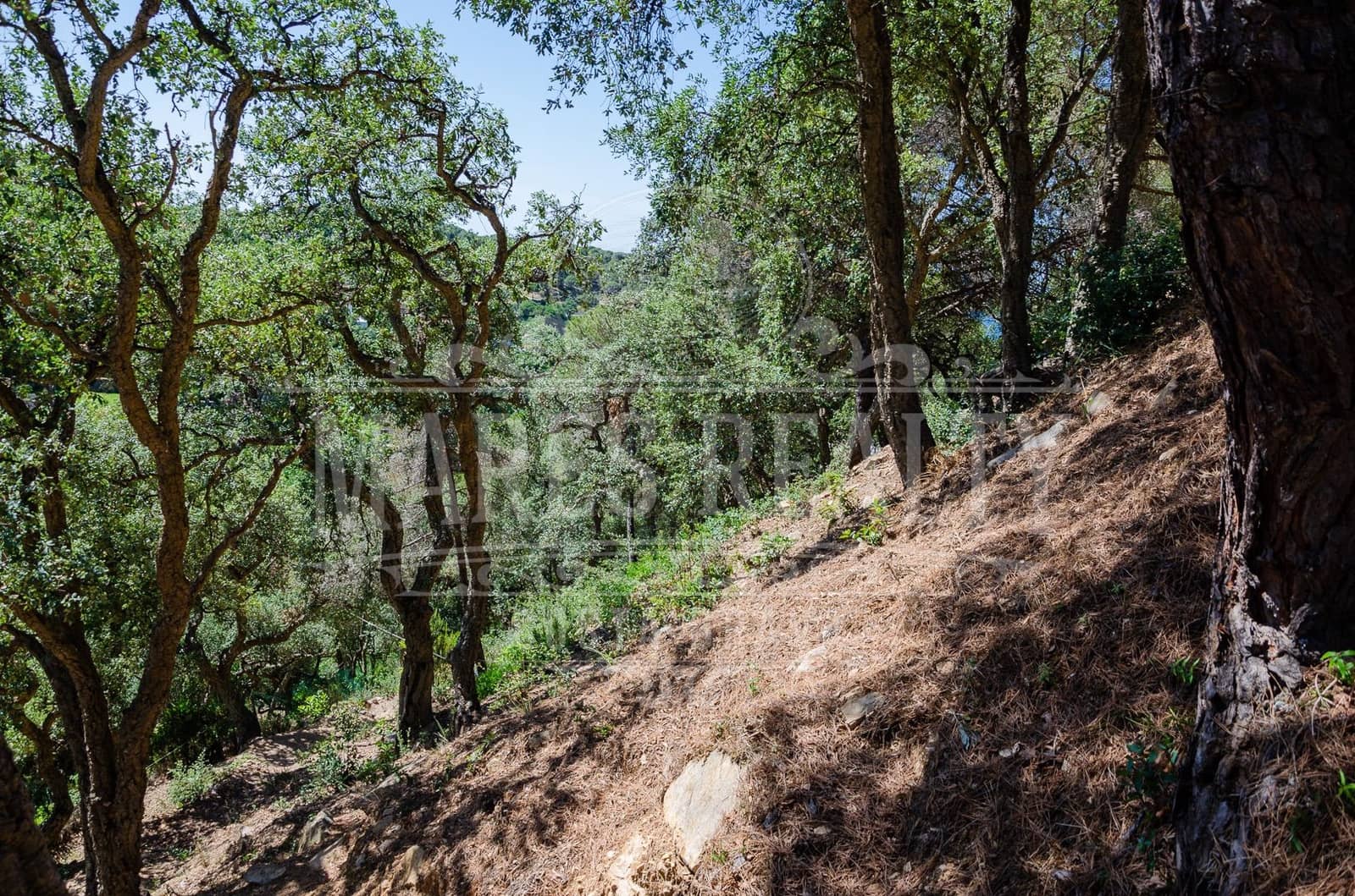 Grond te koop in Lloret de Mar - € 106.000 (Ref: 7458212)