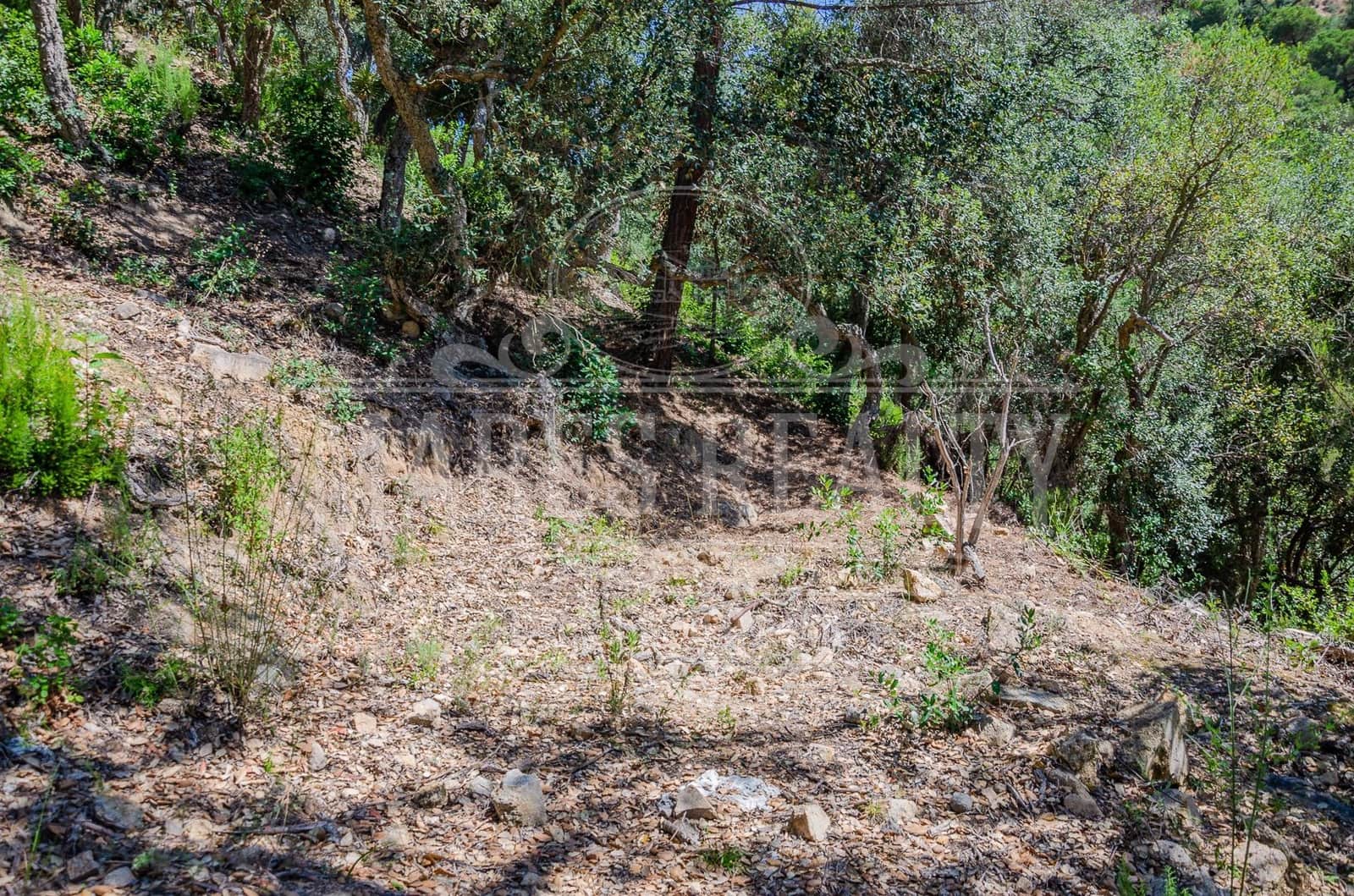 Grond te koop in Lloret de Mar - € 106.000 (Ref: 7458212)