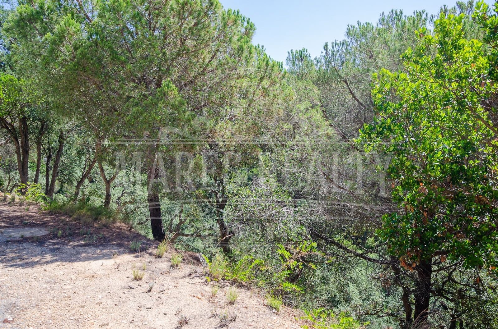 Grond te koop in Lloret de Mar - € 106.000 (Ref: 7458212)