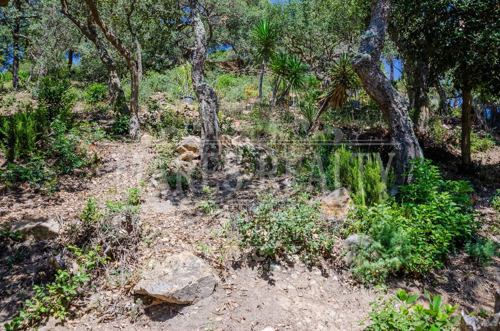 Grond te koop in Lloret de Mar - € 106.000 (Ref: 7458212)