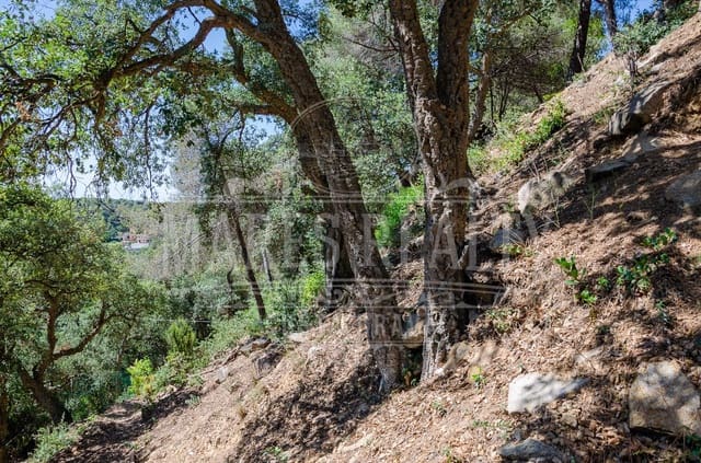 Grunde uden byggetilladelser til salg i Lloret de Mar - € 106.000 (Ref: 7458212)