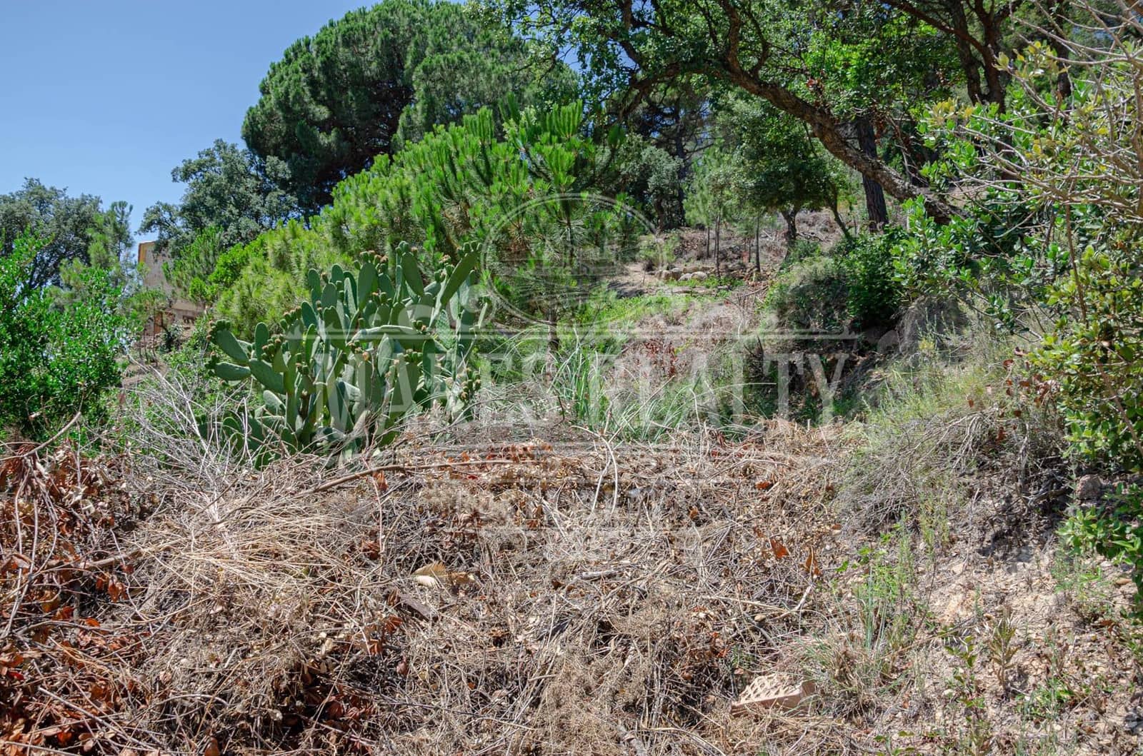 Grunde uden byggetilladelser til salg i Lloret de Mar - € 125.000 (Ref: 7458213)